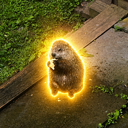 Jeff The Groundhog Live Price, Chart and Marketcap