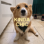 Buy Kinda Chic