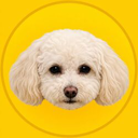 Korico Live Price, Chart and Marketcap