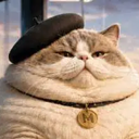 Le gros chaton Live Price, Chart and Marketcap