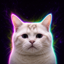 Buy LONGCAT