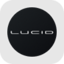 Lucid Group rStock