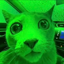 Buy Market Cat