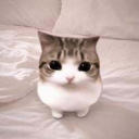 Meowpin Live Price, Chart and Marketcap