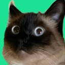 merv the cat Live Price, Chart and Marketcap