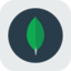 MongoDB rStock