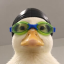 Nasduck Live Price, Chart and Marketcap