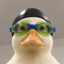 Nasduck