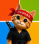 Buy NinjaCat