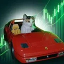 No Risk No Rari Live Price, Chart and Marketcap