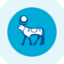 Novo Nordisk A/S rStock (RNVO) Live Price, Chart and Marketcap