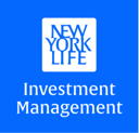 NYLIM US High Yield Bond Fund (HYB) Live Price, Chart and Marketcap