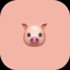 PIGI COIN