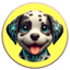 Buy Pongo