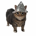 psyopcat (PCAT) Live Price, Chart and Marketcap