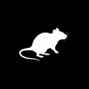 Rattery Experiment Live Price, Chart and Marketcap