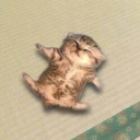 relaxed cat (RELAX) Live Price, Chart and Marketcap