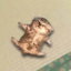 Buy relaxed cat