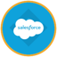 Salesforce (bStocks Tokenized Stock)