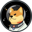 Buy Satellite Doge-1 Mission