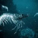 skrimp (SKRMP) Live Price, Chart and Marketcap