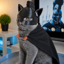 Sky Super Cat Live Price, Chart and Marketcap