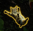 Sliding Cat (滑る猫) Live Price, Chart and Marketcap