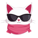 SnobCat (SNAT) Live Price, Chart and Marketcap