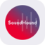 SoundHound AI rStock