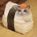 Sushi Cat (SUSHICAT) Live Price, Chart and Marketcap