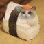 Buy Sushi Cat