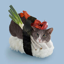 Buy sushicat