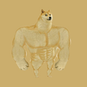 Swole Doge (SWOGE) Live Price, Chart and Marketcap