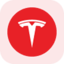 Tesla rStock