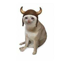 Buy The Bull Cat