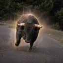 The Charging Bison Live Price, Chart and Marketcap