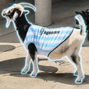 The Messi Goat (WESLEY) Live Price, Chart and Marketcap
