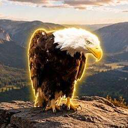 The Nietzschean Eagle (JACKIE) Live Price, Chart and Marketcap