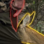 The Rousseauian Deer