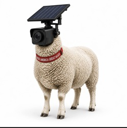 The Sheeple Flock Live Price, Chart and Marketcap