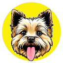 TOTO Live Price, Chart and Marketcap