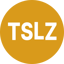 Tradr 2X Short TSLA Daily ETF aStock