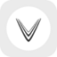 VinFast rStock