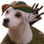 Buy WISHBONE