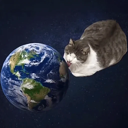 world licking cat (LICKINGCAT) Live Price, Chart and Marketcap