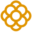 CaviarNine logo